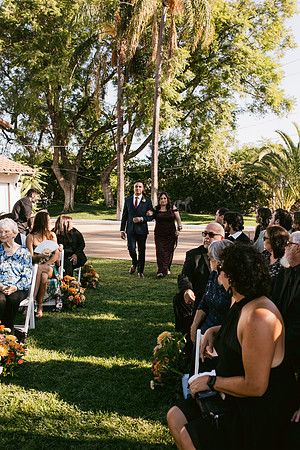 Wedding Day297