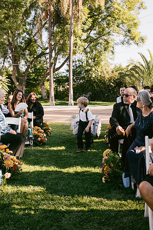 Wedding Day343