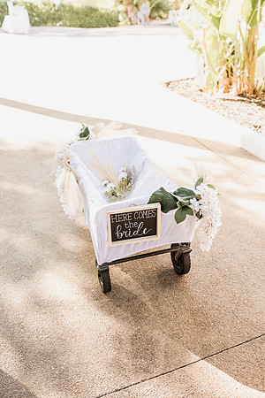 Wedding Day250