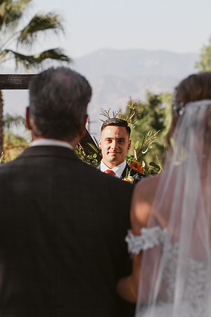 Wedding Day367