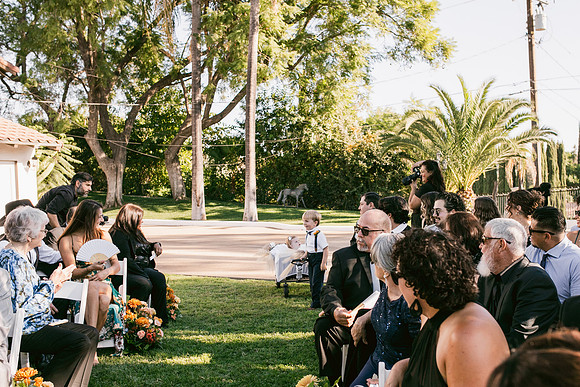 Wedding Day341