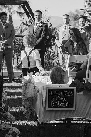 Wedding Day349