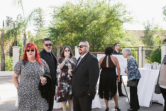 Wedding Day260