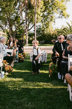 Wedding Day345