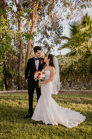 Wedding Day (375)