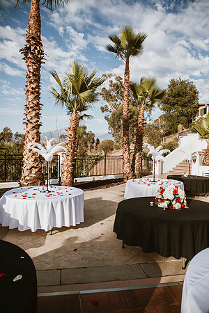 Wedding Day (471)