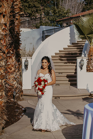 Wedding Day (217)