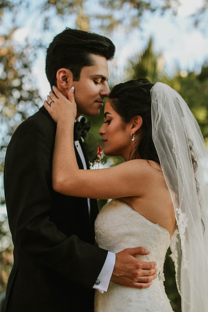 Wedding Day (380)