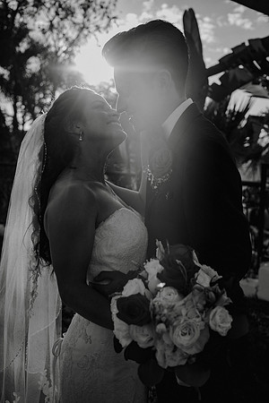 Wedding Day (365)