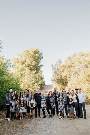 fam 20246