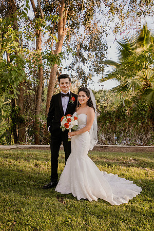 Wedding Day (374)