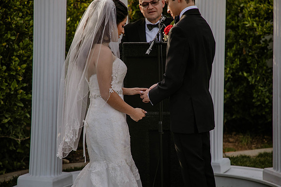 Wedding Day (289)