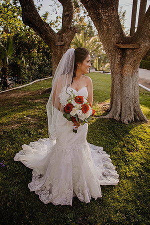 Wedding Day (427)