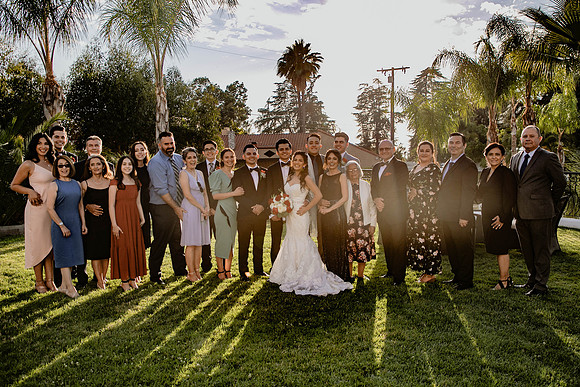 Wedding Day (433)
