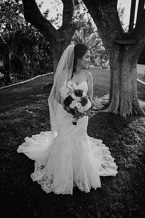 Wedding Day (428)
