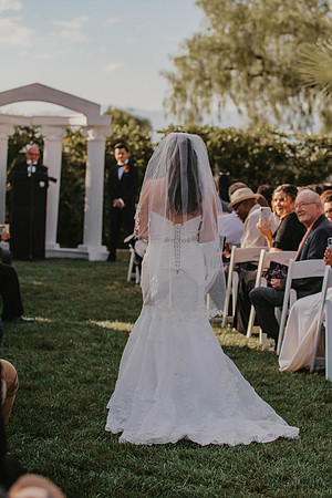 Wedding Day (220)