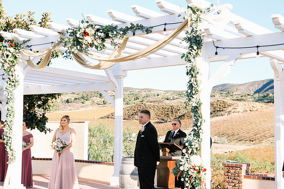 David & Rachel (299)