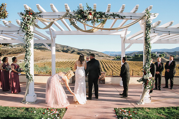 David & Rachel (339)