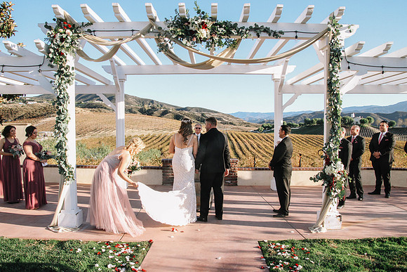 David & Rachel (340)