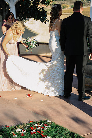 David & Rachel (343)
