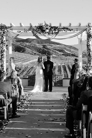 David & Rachel (355)