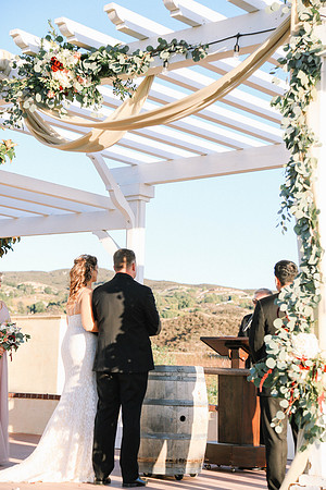 David & Rachel (441)