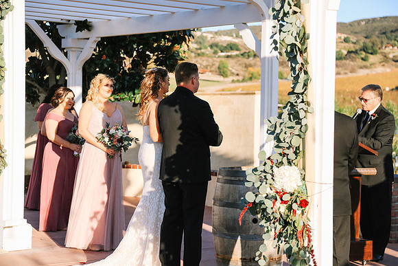 David & Rachel (445)