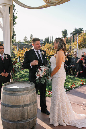 David & Rachel (446)