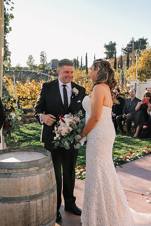 David & Rachel (447)