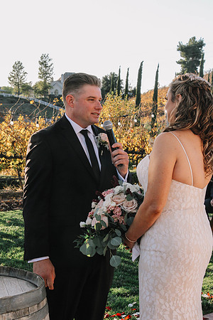 David & Rachel (450)