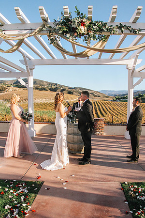 David & Rachel (465)