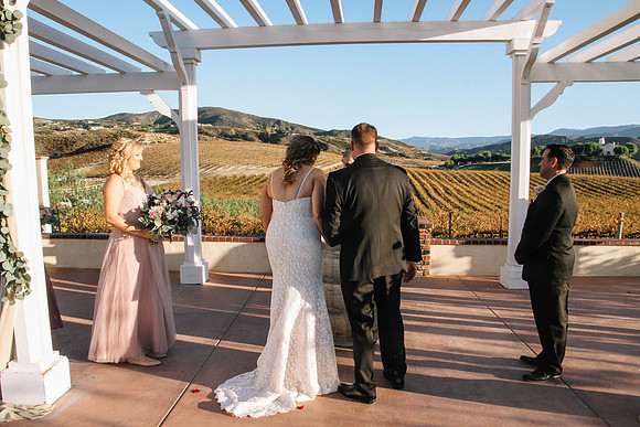 David & Rachel (493)