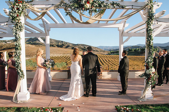 David & Rachel (494)