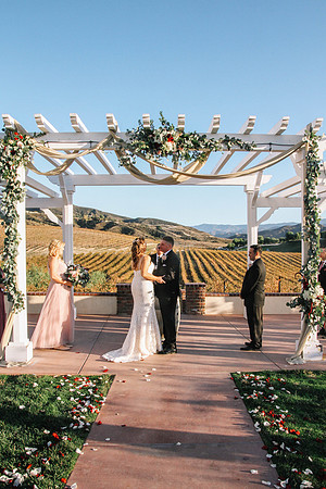 David & Rachel (528)