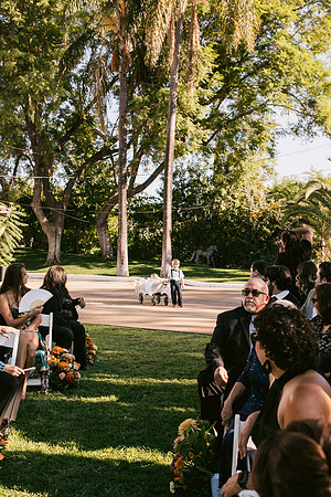 Wedding Day338