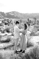 Marcus and Dahlia Engagement Photos
