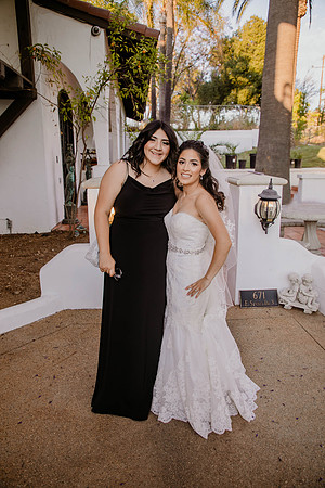 Wedding Day (450)
