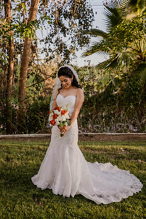 Wedding Day (424)