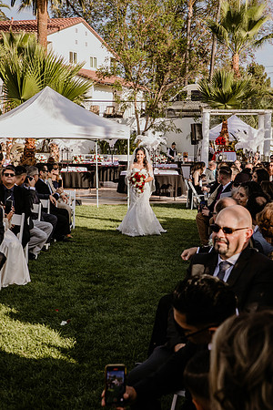 Wedding Day (225)