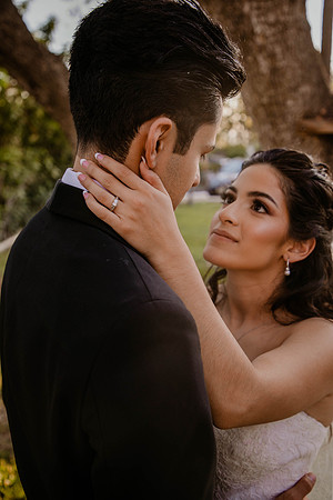 Wedding Day (384)