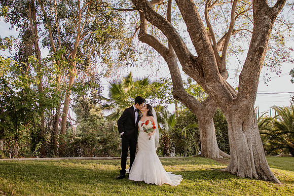 Wedding Day (378)