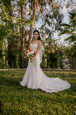 Wedding Day (420)