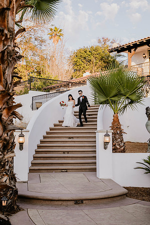 Wedding Day (497)