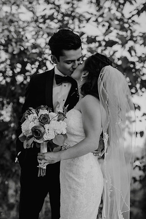 Wedding Day (379)