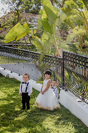 Wedding Day (179)