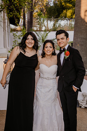 Wedding Day (452)