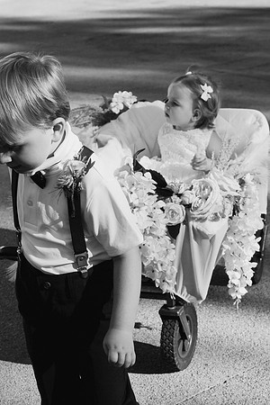 Wedding Day336