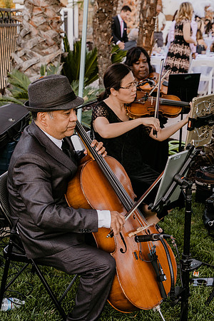 Wedding Day (519)