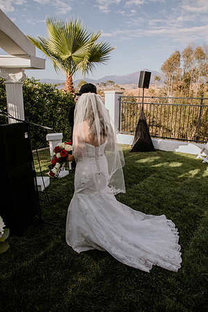 Wedding Day (236)