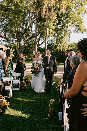 Wedding Day362
